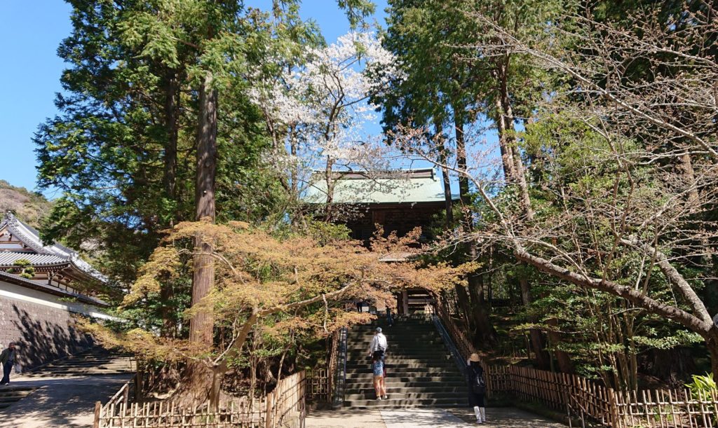 円覚寺　山門に向かう階段