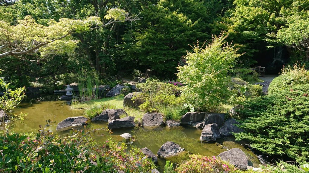 葉山しおさい公園　池と庭 / Pond and garden in Hayama SHiosai Park