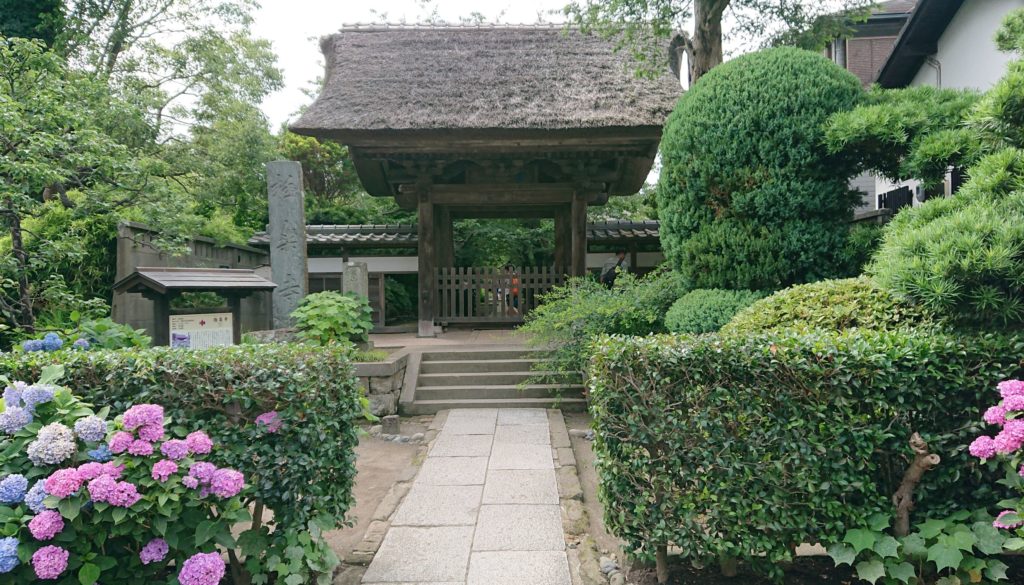 極楽寺　山門 / Gate of Gokuraku temple (2020, June 21)