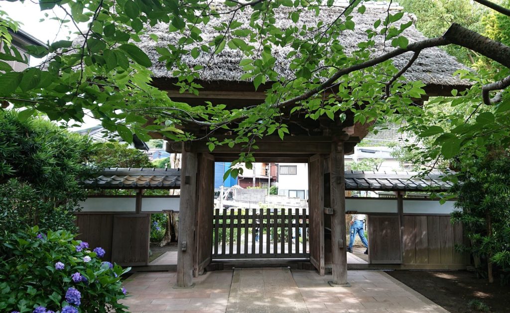 極楽寺　門（裏） / Gate's rear view of Gokuraku temple
