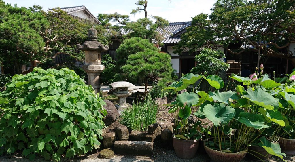 参道左手の庭園 / Garden on the left
