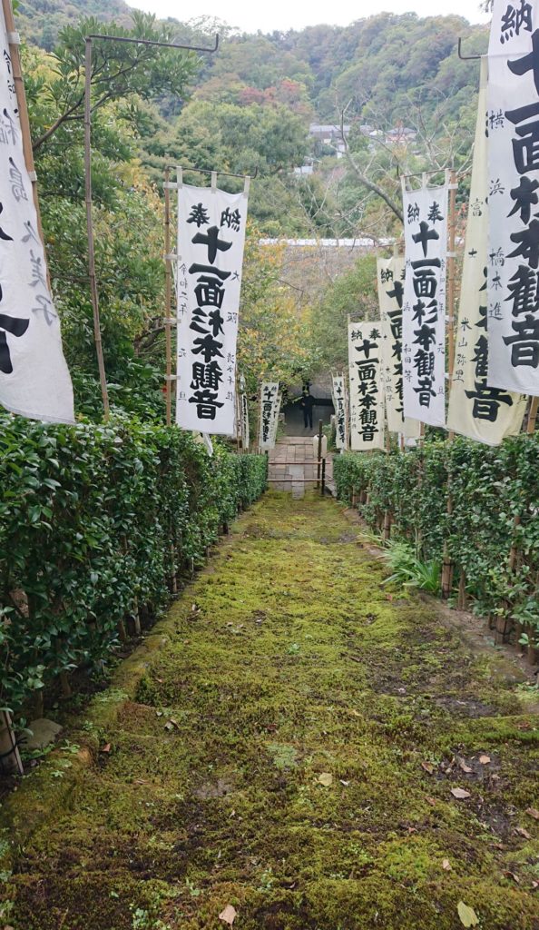 杉本寺　本堂からの苔の階段 / Moss steps from Main hall of Sugimoto Temple