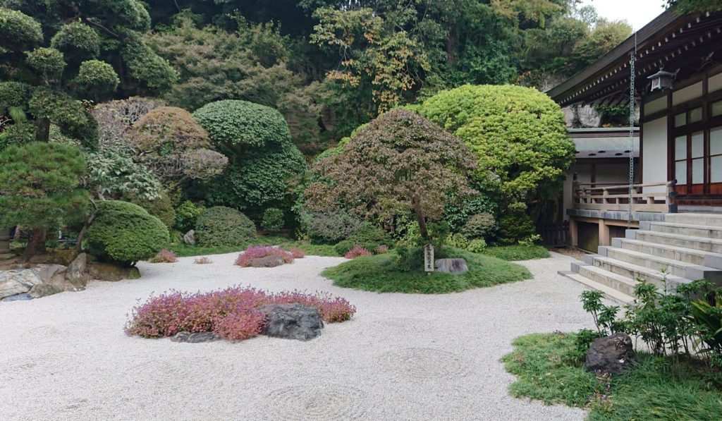 報国寺　竹の庭 1 / Bamboo garden of Hokokuji Temple