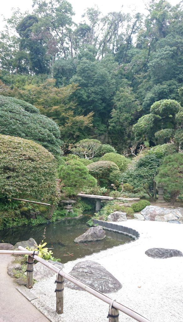 報国寺　竹の庭 2 / Bamboo garden of Hokokuji Temple