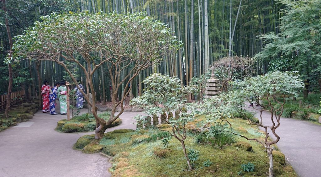 報国寺　竹の庭 5 / Bamboo garden of Hokokuji Temple