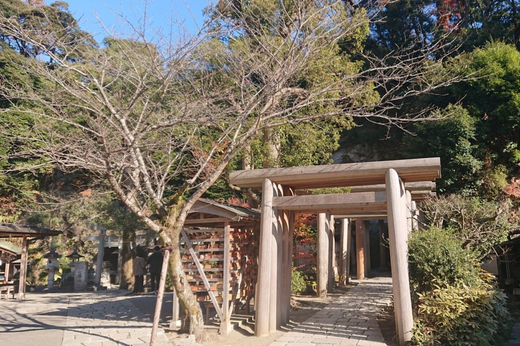 境内からの鳥居と洞窟 / Torii gate and Cave view from the precinct