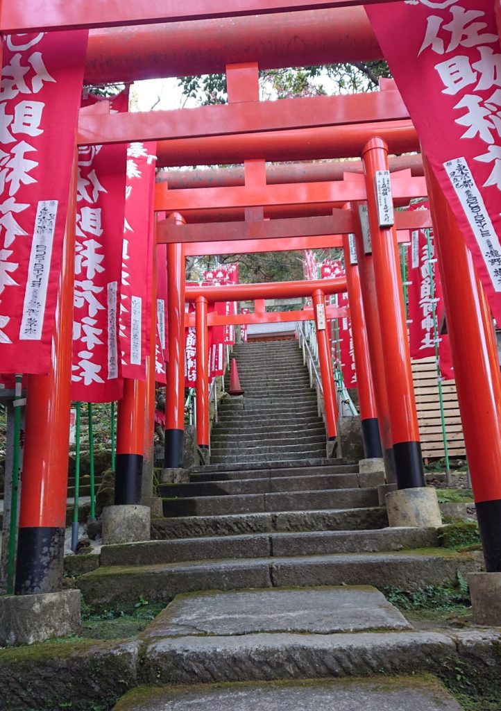 佐助稲荷神社　鳥居終着 / End of Torii gates of Sasuke Inari Shrine