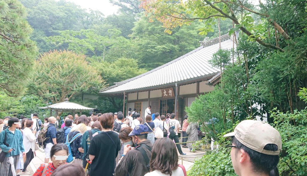 明月院（鎌倉） 4 / Meigetsuin temple in Kamakura (2023 Jun 11)
