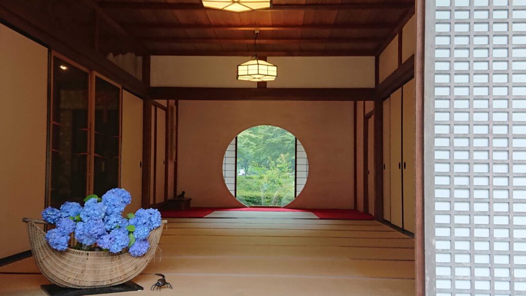 明月院（鎌倉） 5 / Meigetsuin temple in Kamakura (2023 Jun 11)