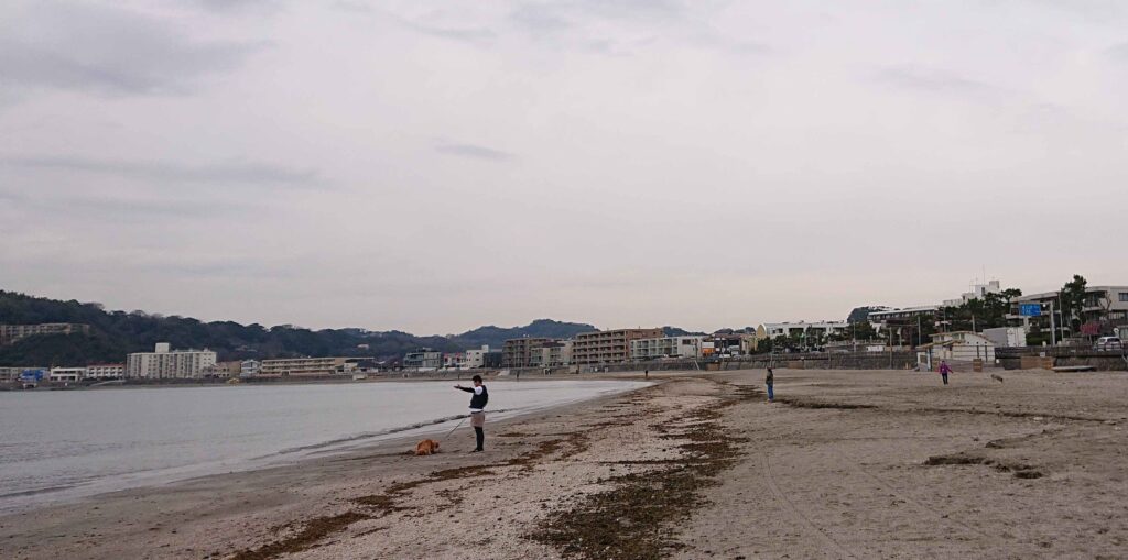 逗子海岸/ Zushi Beach (2023 Feb 24)