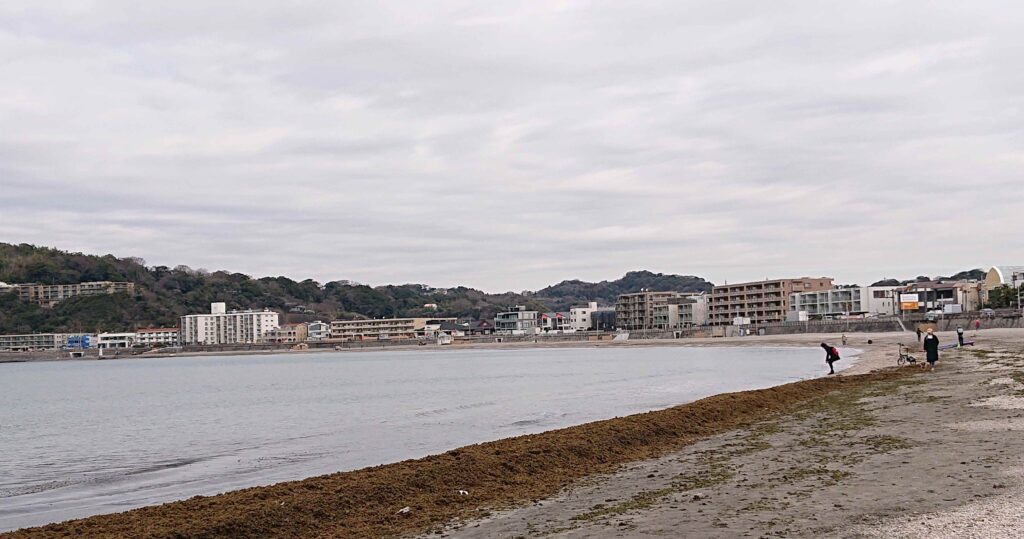 逗子海岸/ Zushi Beach (2023 Mar 3)