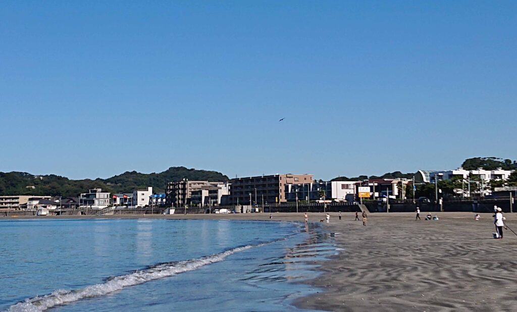 逗子海岸/ Zushi Beach (2023 Oct 16)