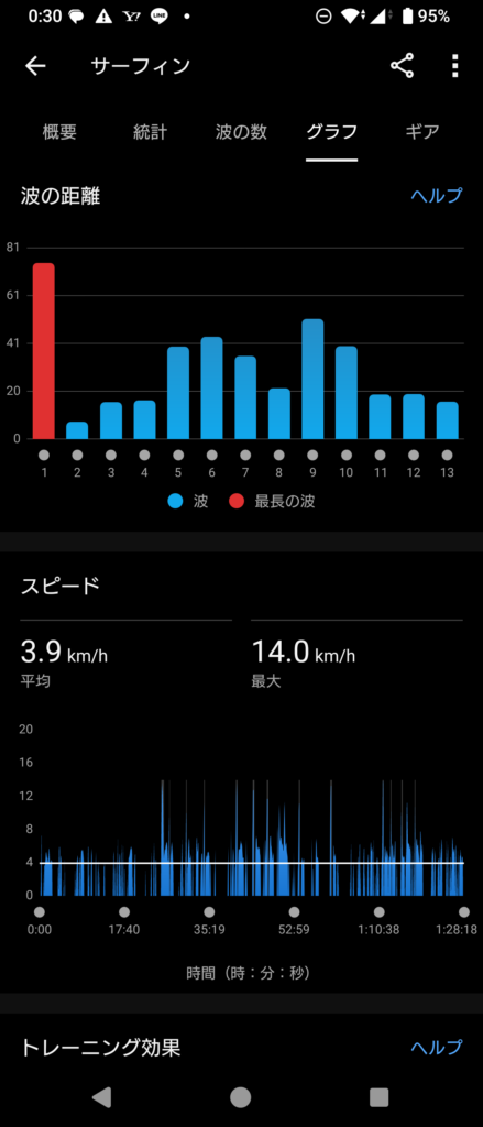 GARMIN Surf 2024 Dec 2