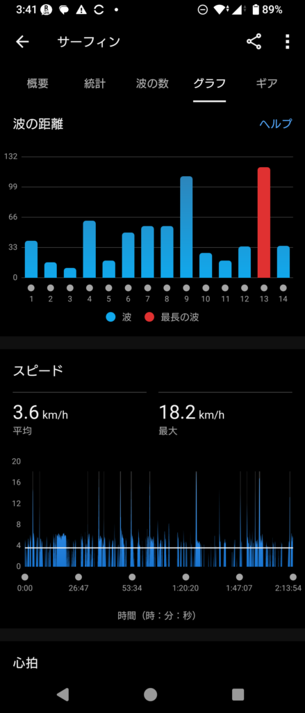 GARMIN Surf 2024 Dec 27