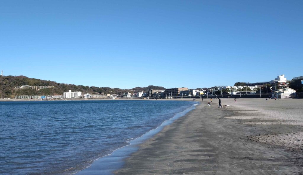 逗子海岸/ Zushi beach (2025 Jan 26)