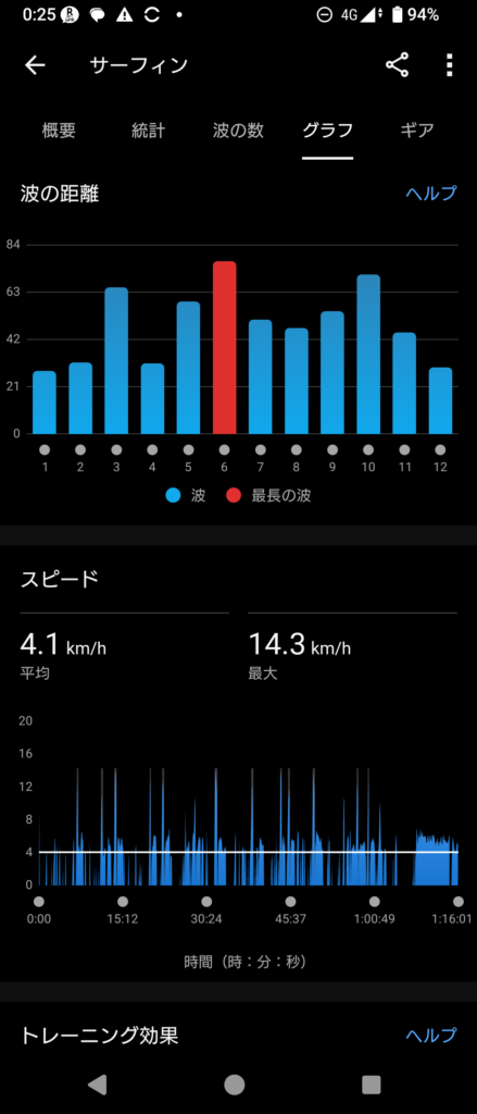 GARMIN Surf 2025 Jan 17