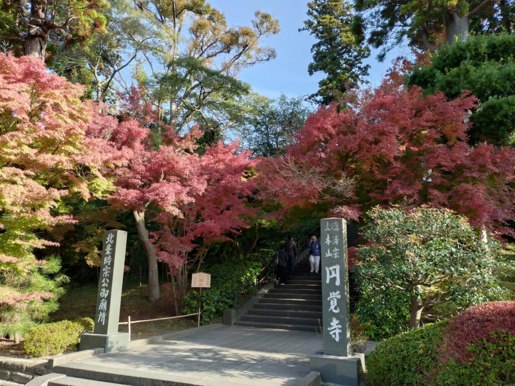 円覚寺/ Enkakuji Temple(2025 Nov 24)