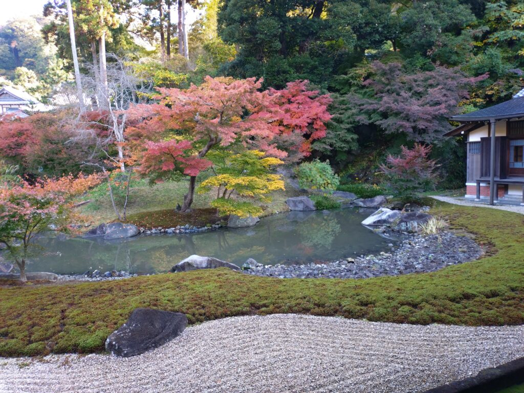 円覚寺 2/ Enkakuji Temple 2(2025 Nov 24)