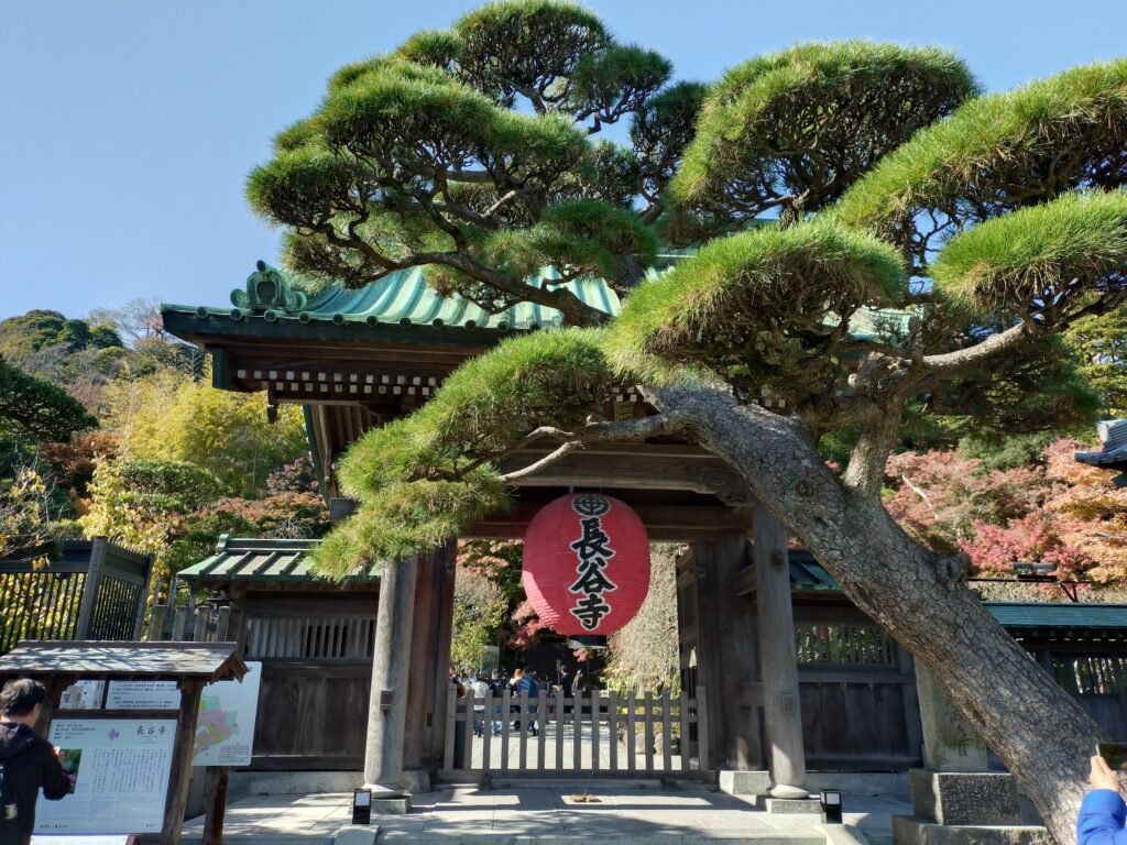 長谷寺 / Hasedera Temple (2025 Nov 24)