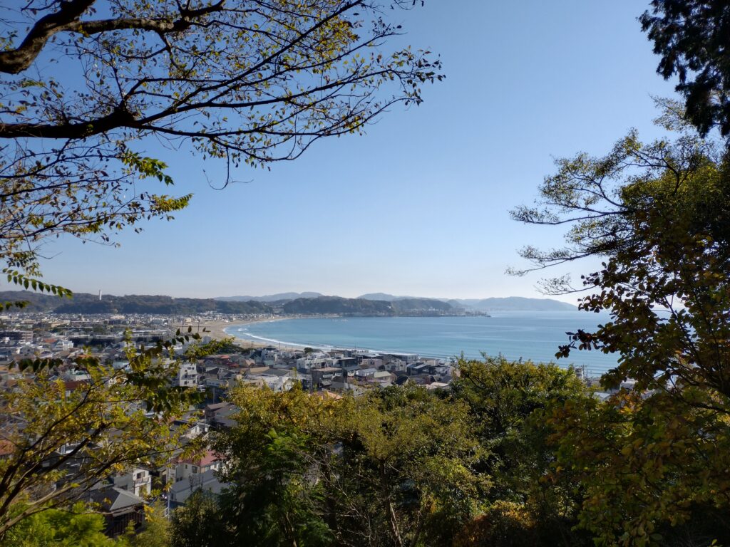 長谷寺 2 / Hasedera Temple 2(2025 Nov 24)