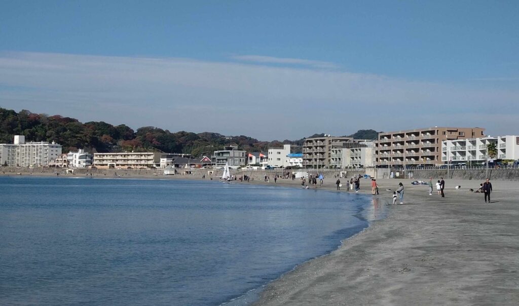 逗子海岸/ Zushi beach (2025 Nov 24)