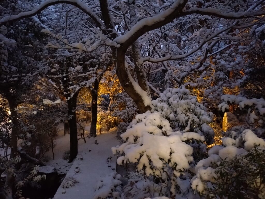 湯河原のホテルから（2026 Feb 8）